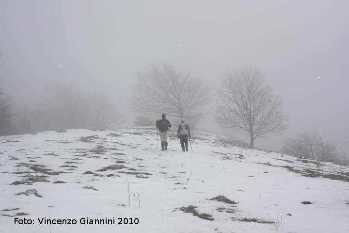 Passeggiata invernale